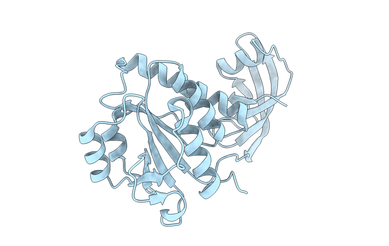 4E8B image