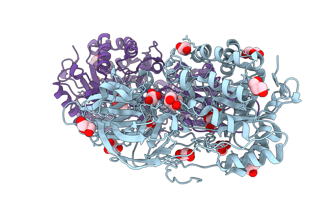 4E8C image