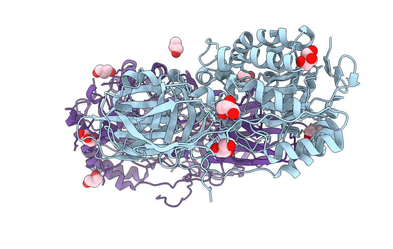 4E8D image