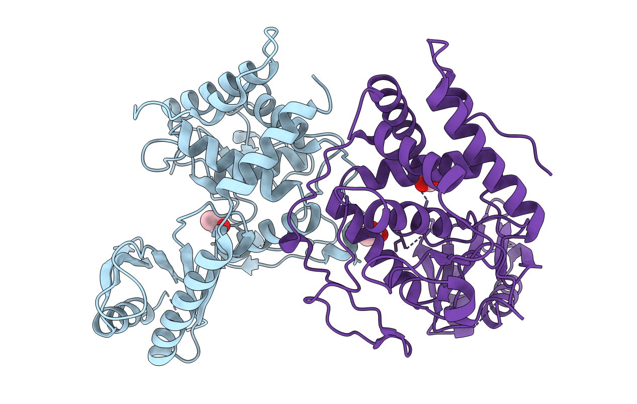 4E8F image