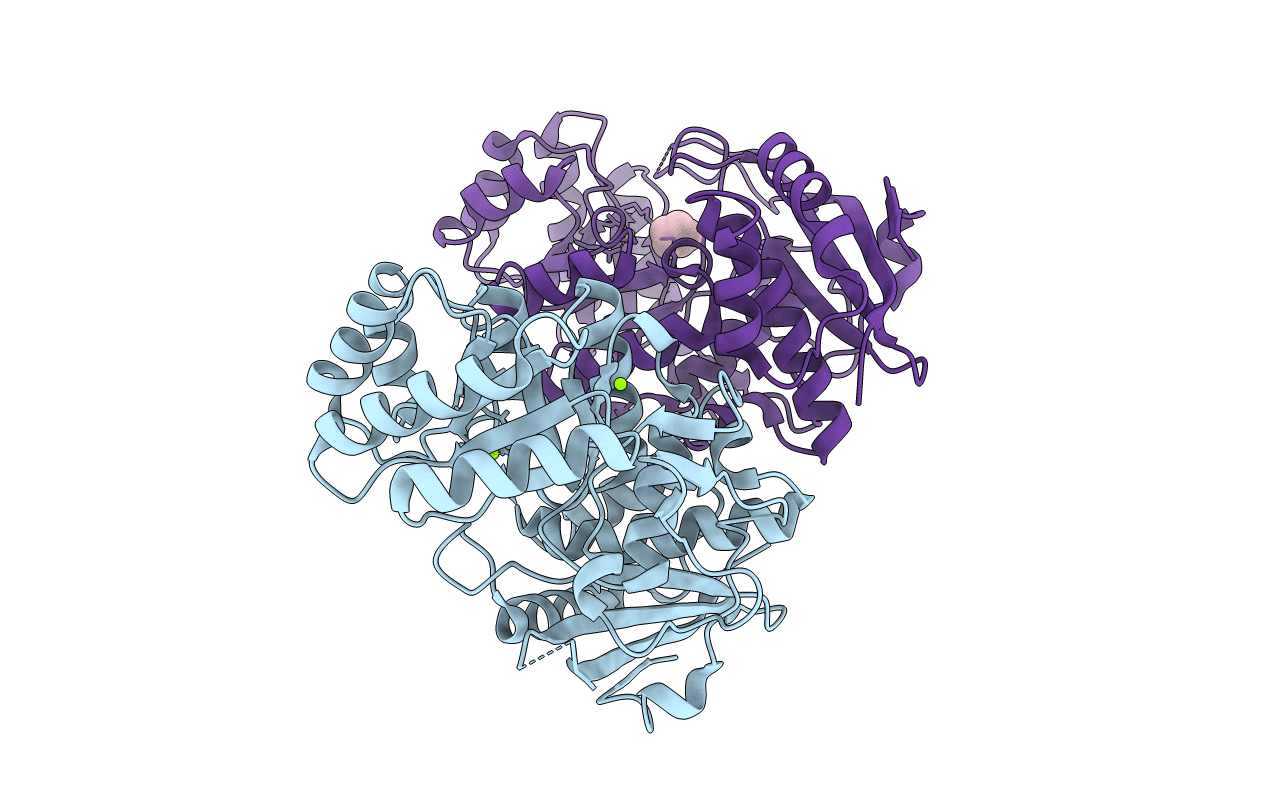 4E8G image