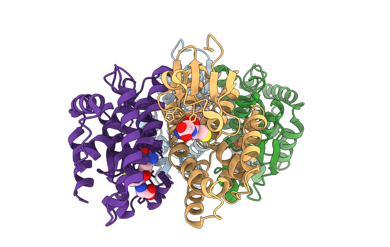 4E8H image