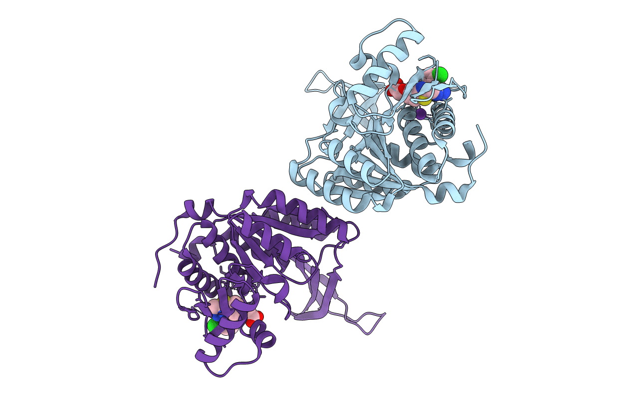4E8Z image