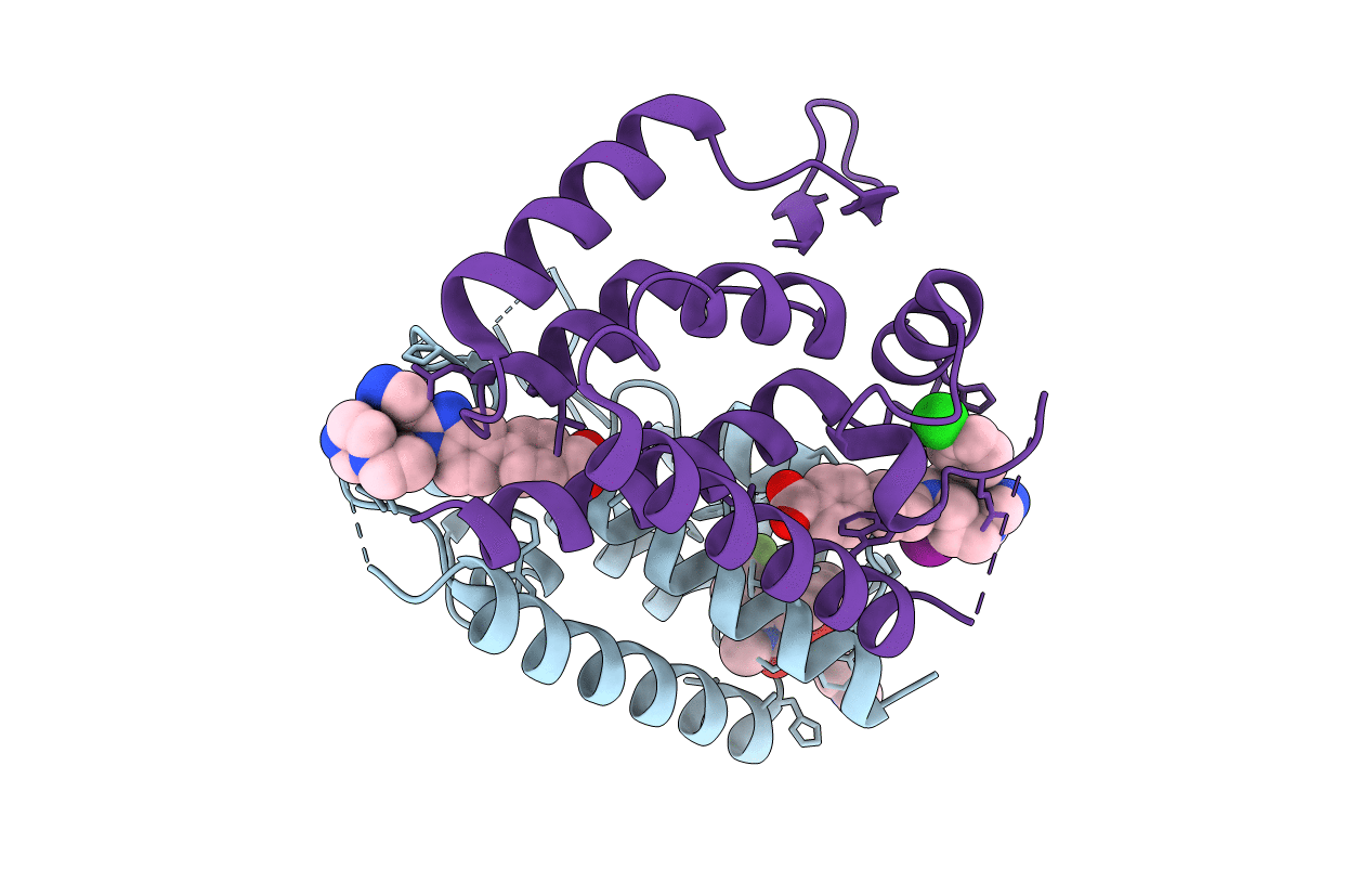 4E91 image
