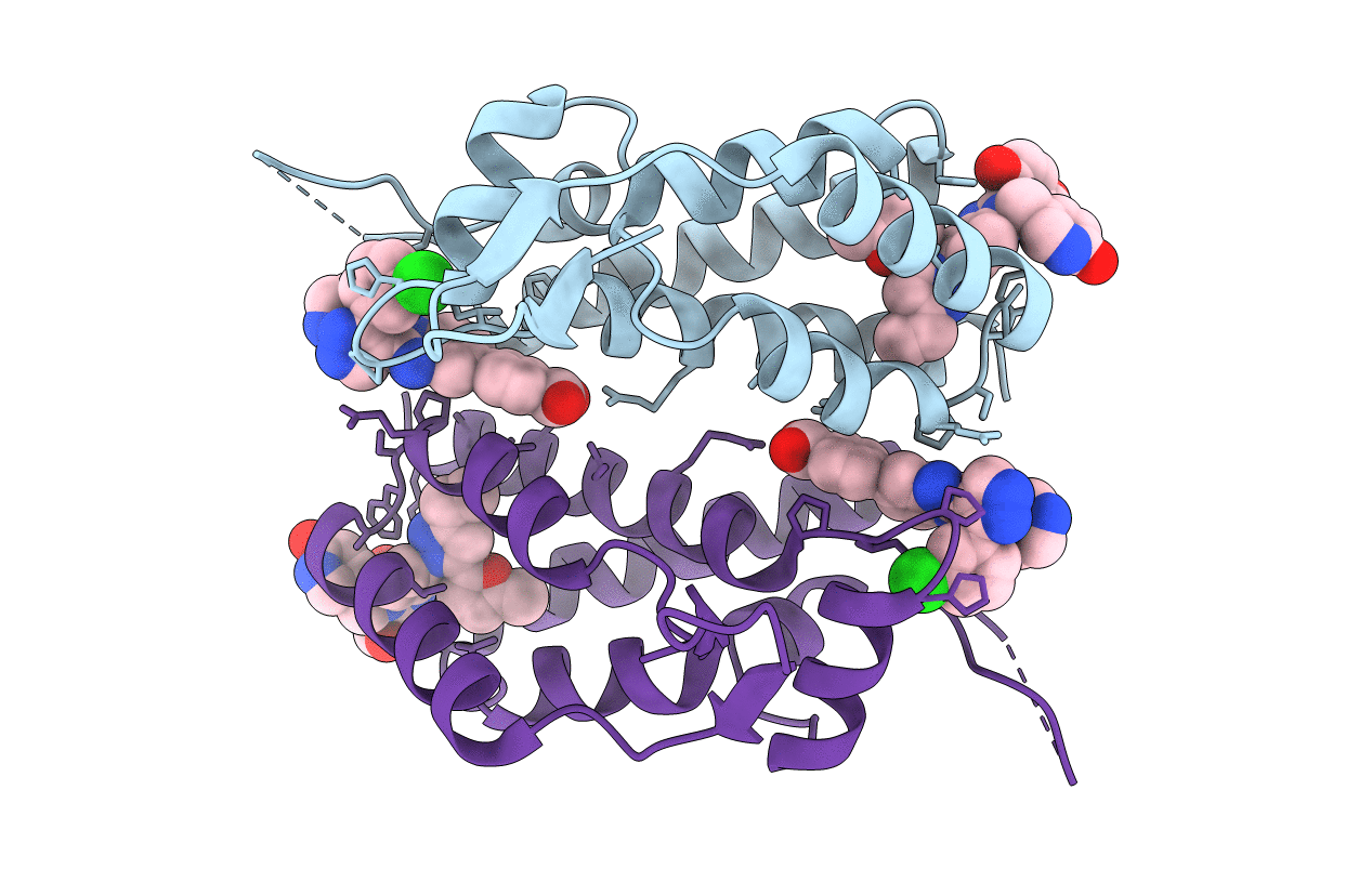 4E92 image