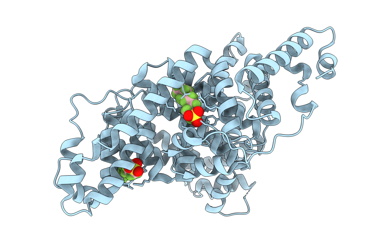 4E99 image