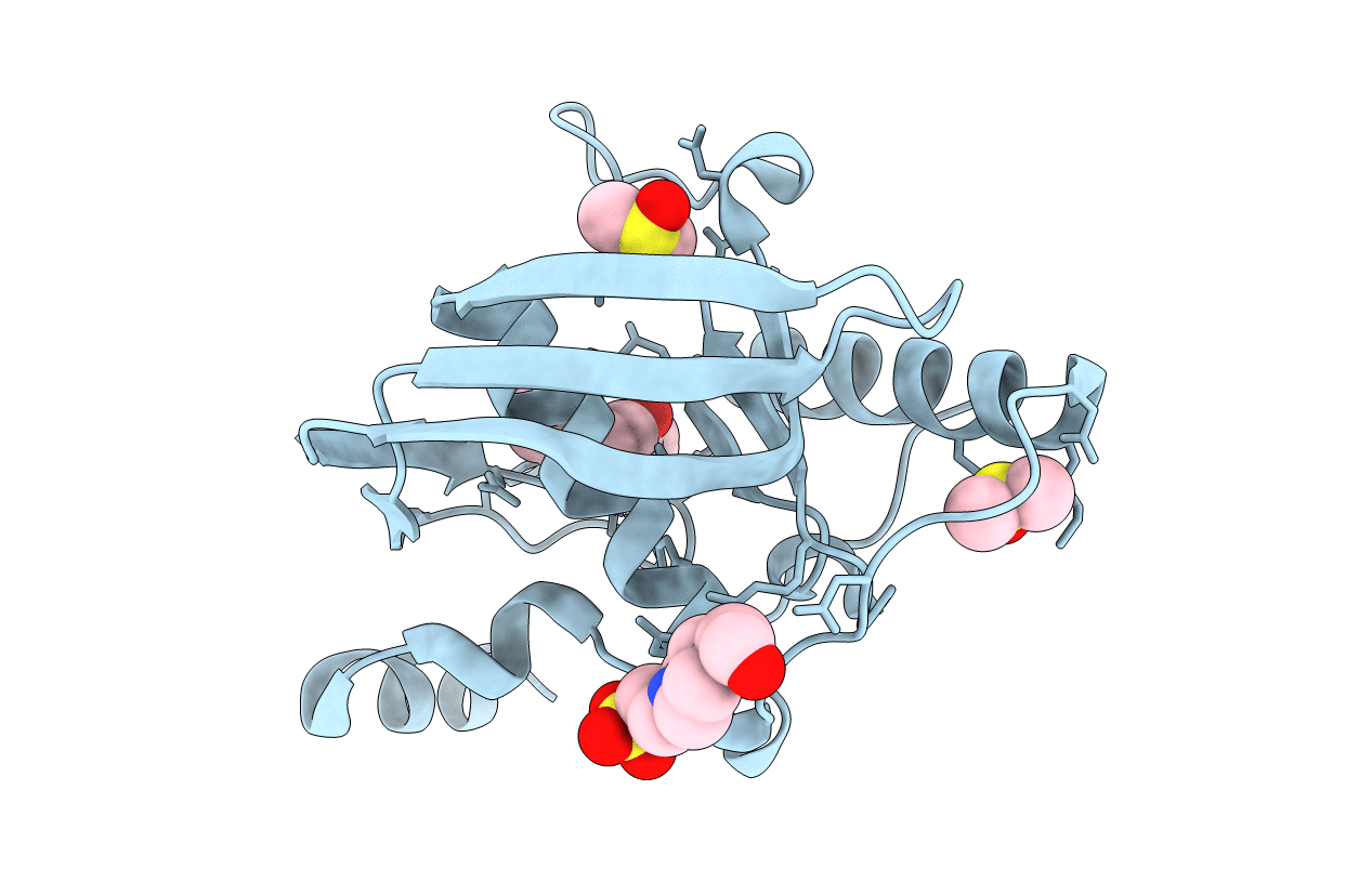 4E9A image