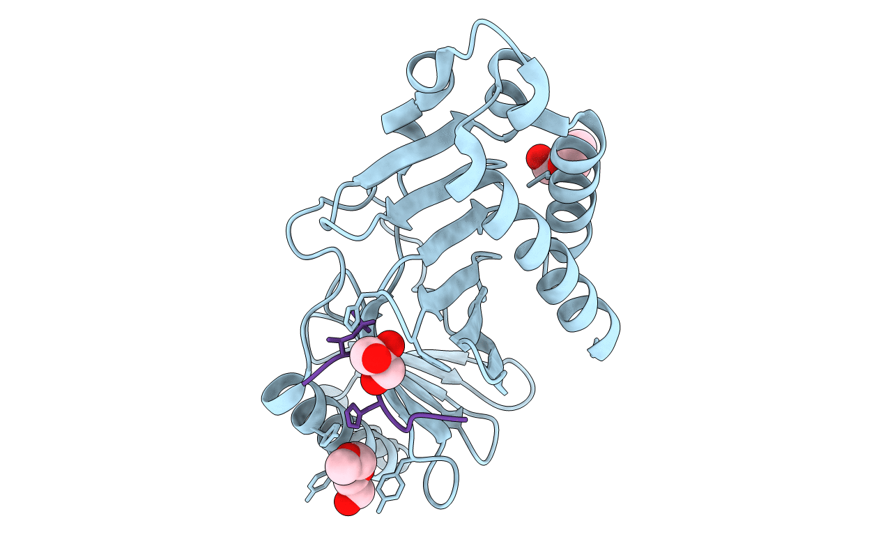 4E9C image