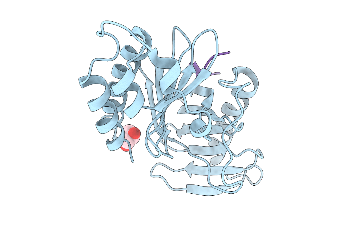 4E9D image