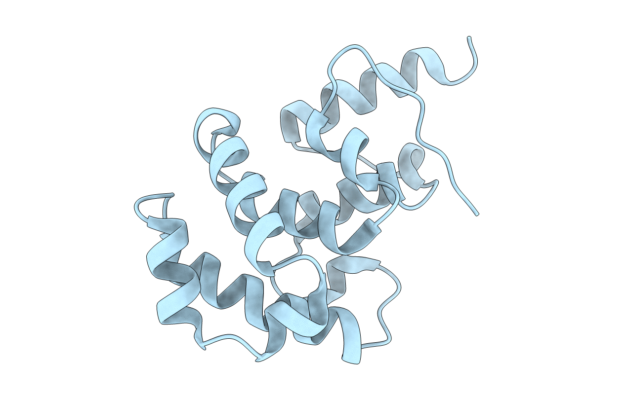 4E9E image