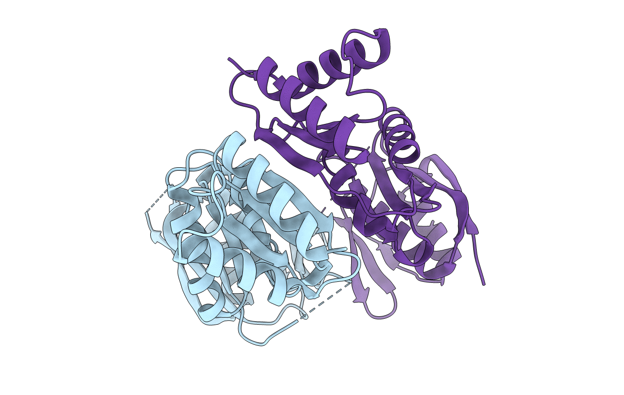 4E9J image