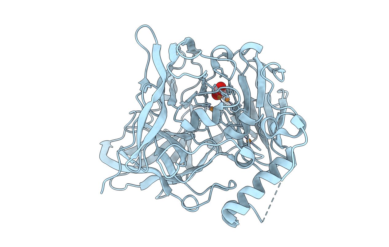 4E9T image