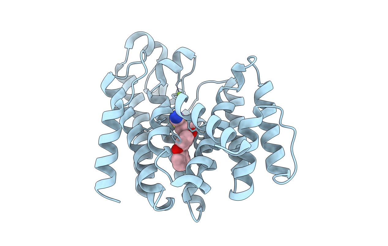 4E9U image