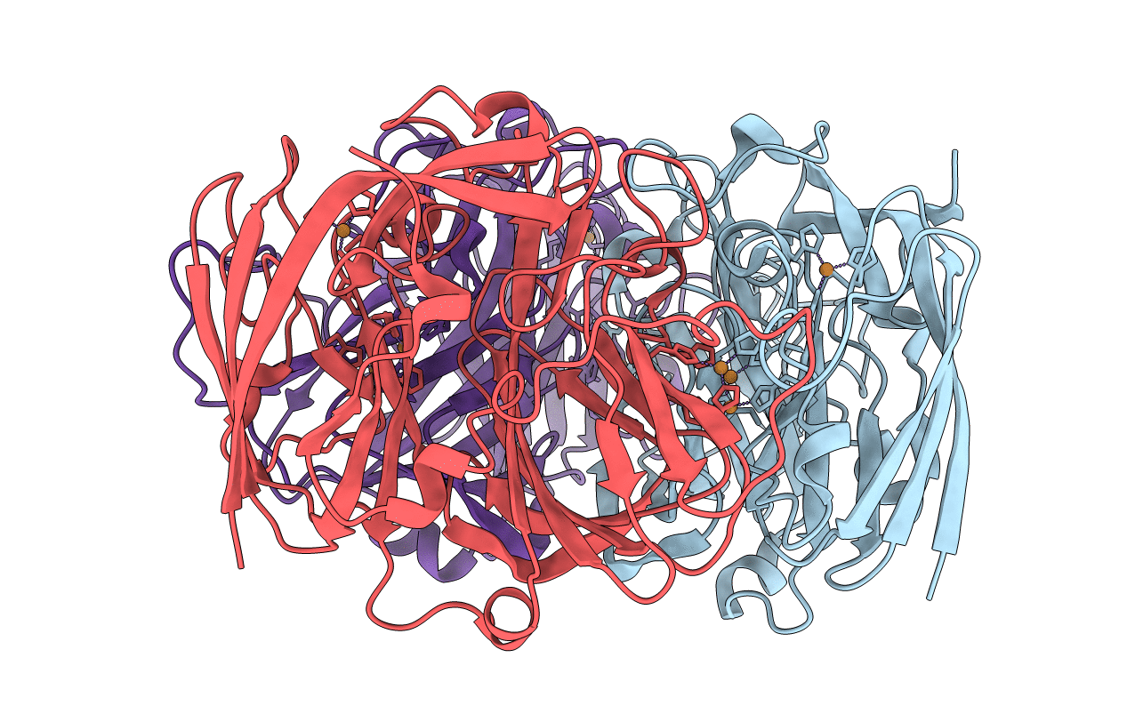 4E9V image