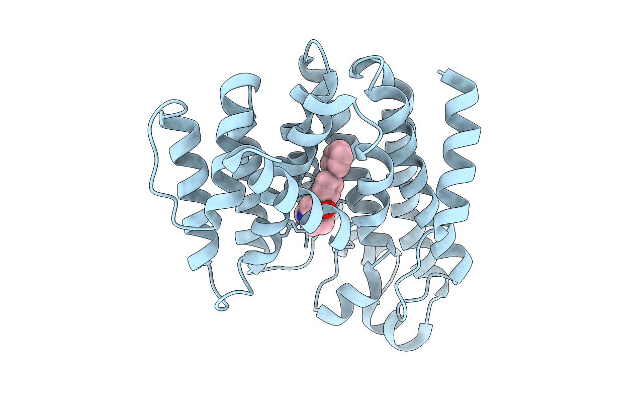 4E9Z image