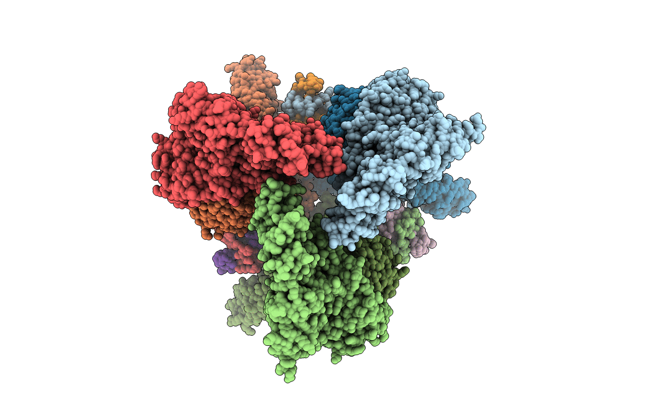 4EBA image