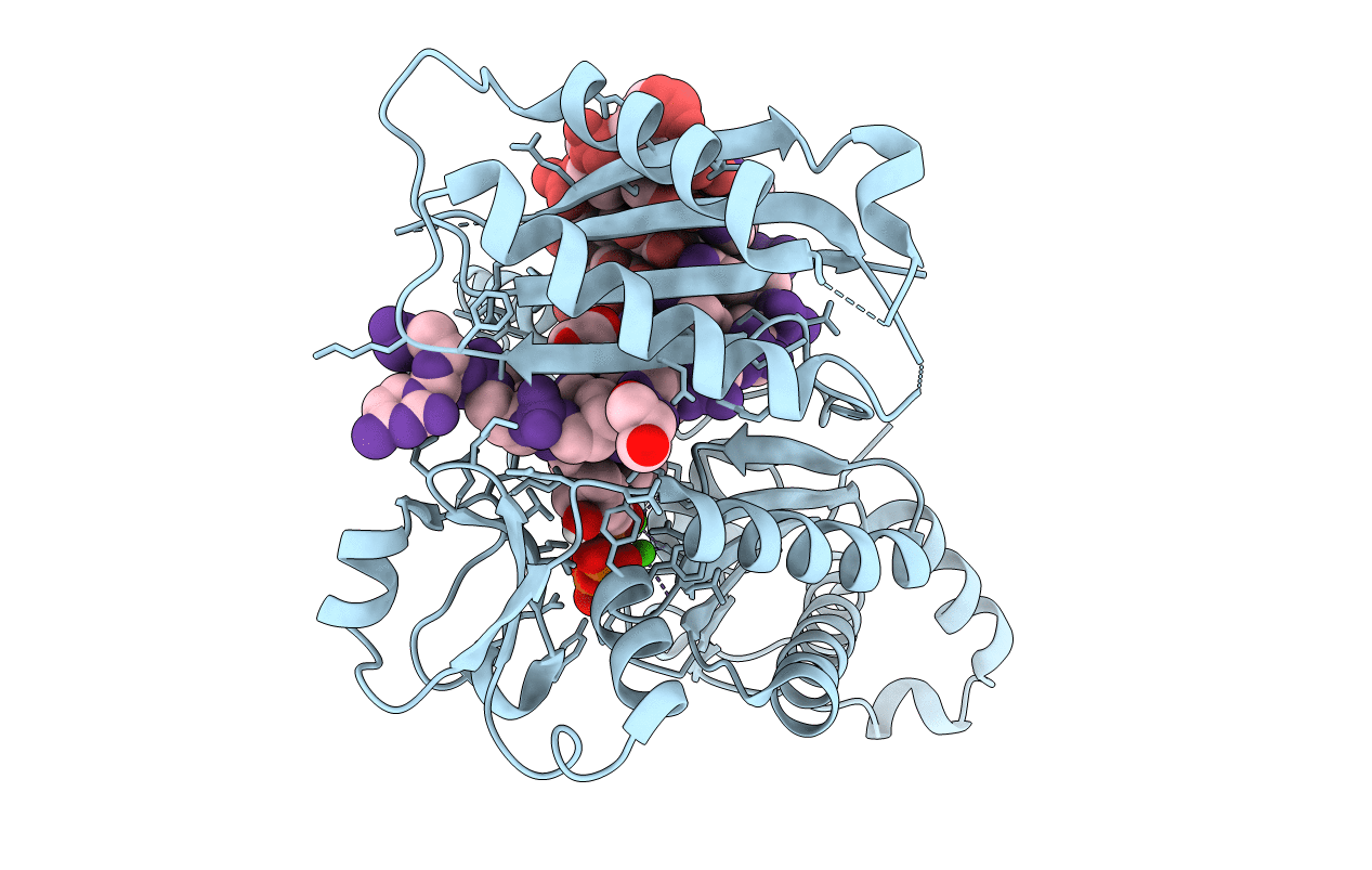 4EBD image