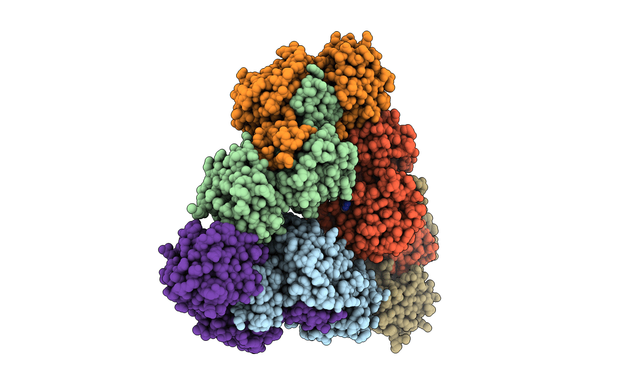 4EBF image