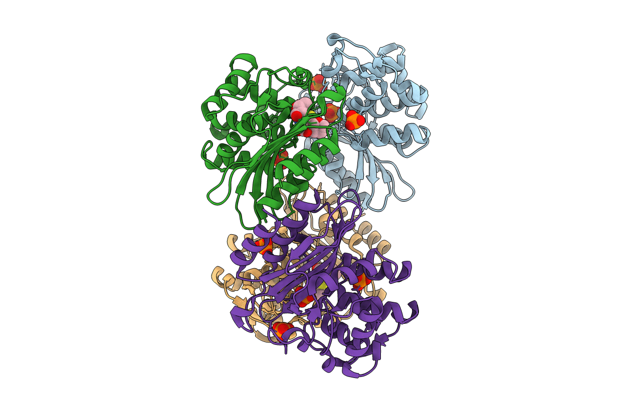 4EBL image