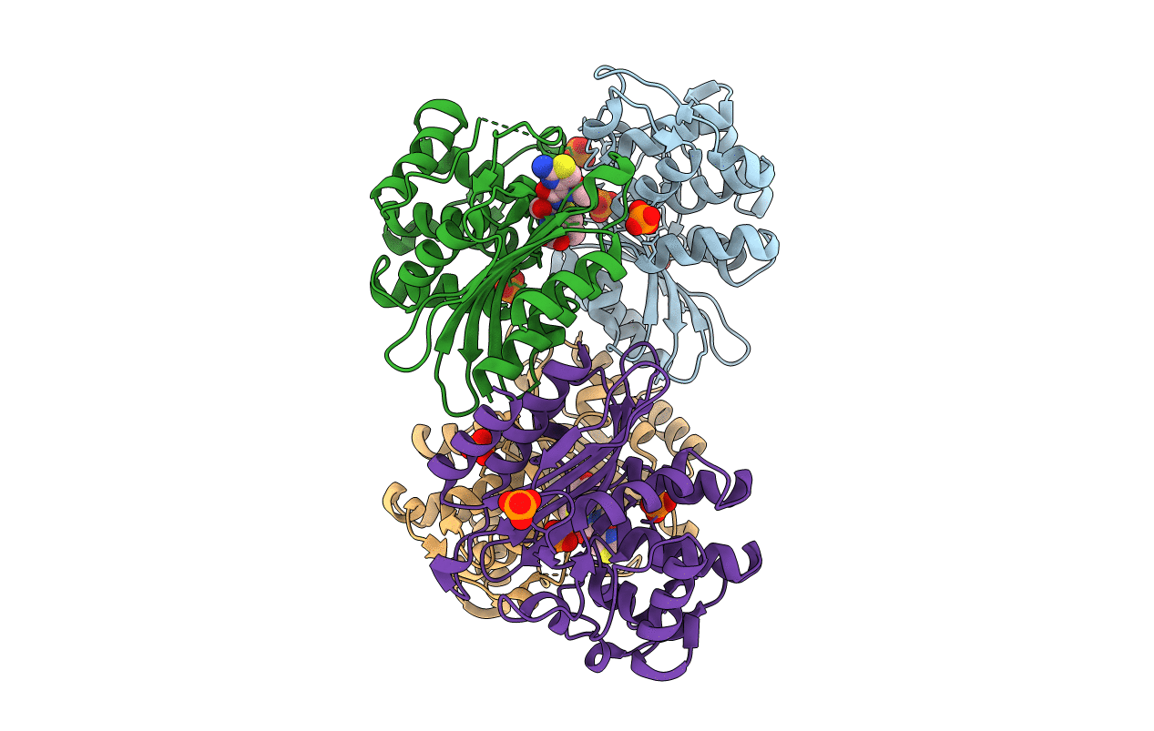 4EBP image