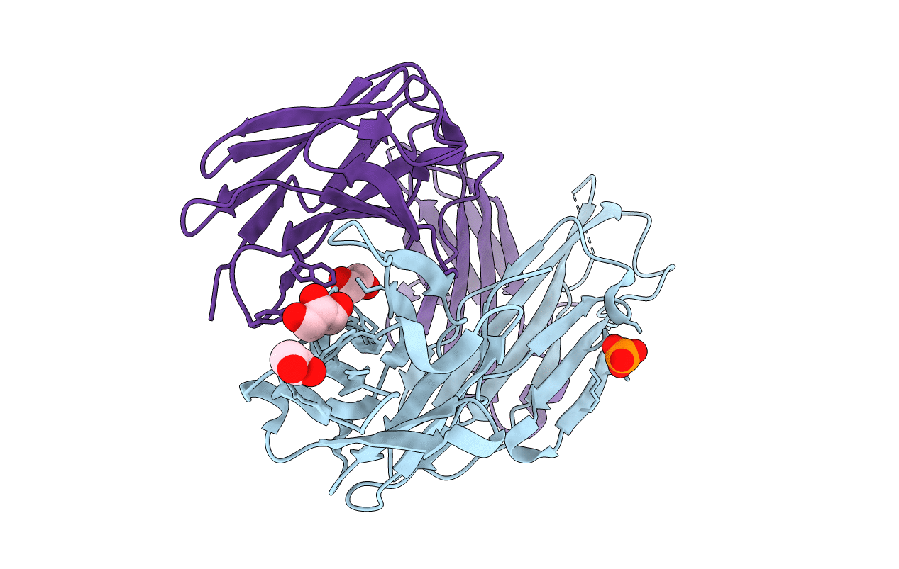 4EBQ image