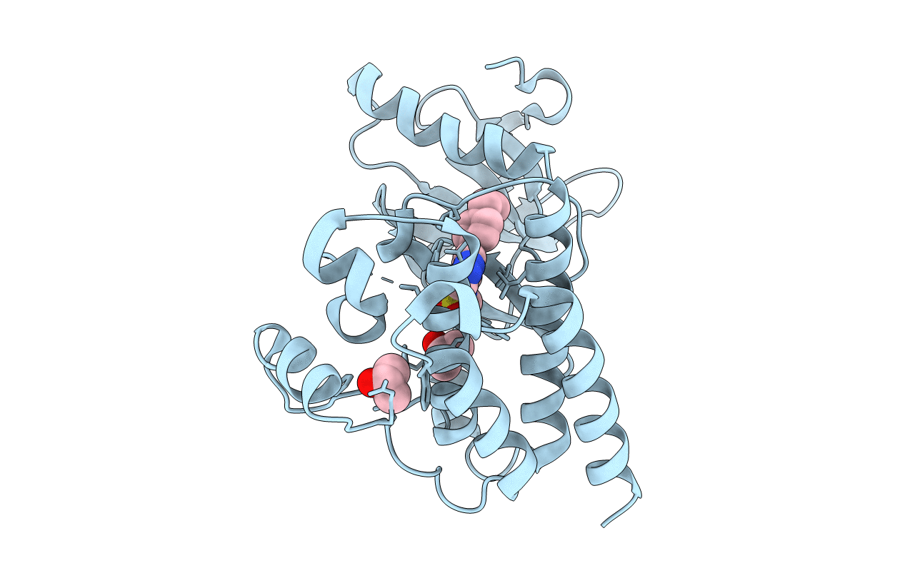 4EBV image