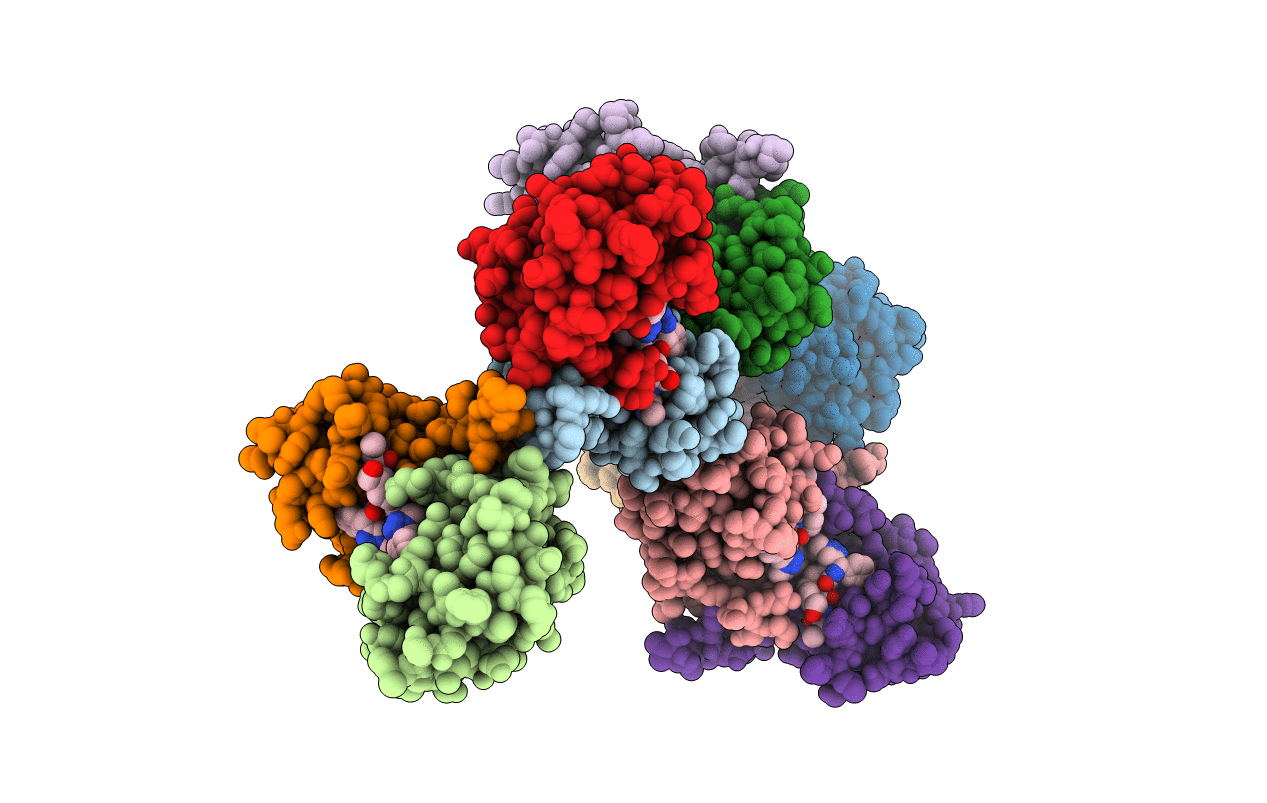 4EC4 image