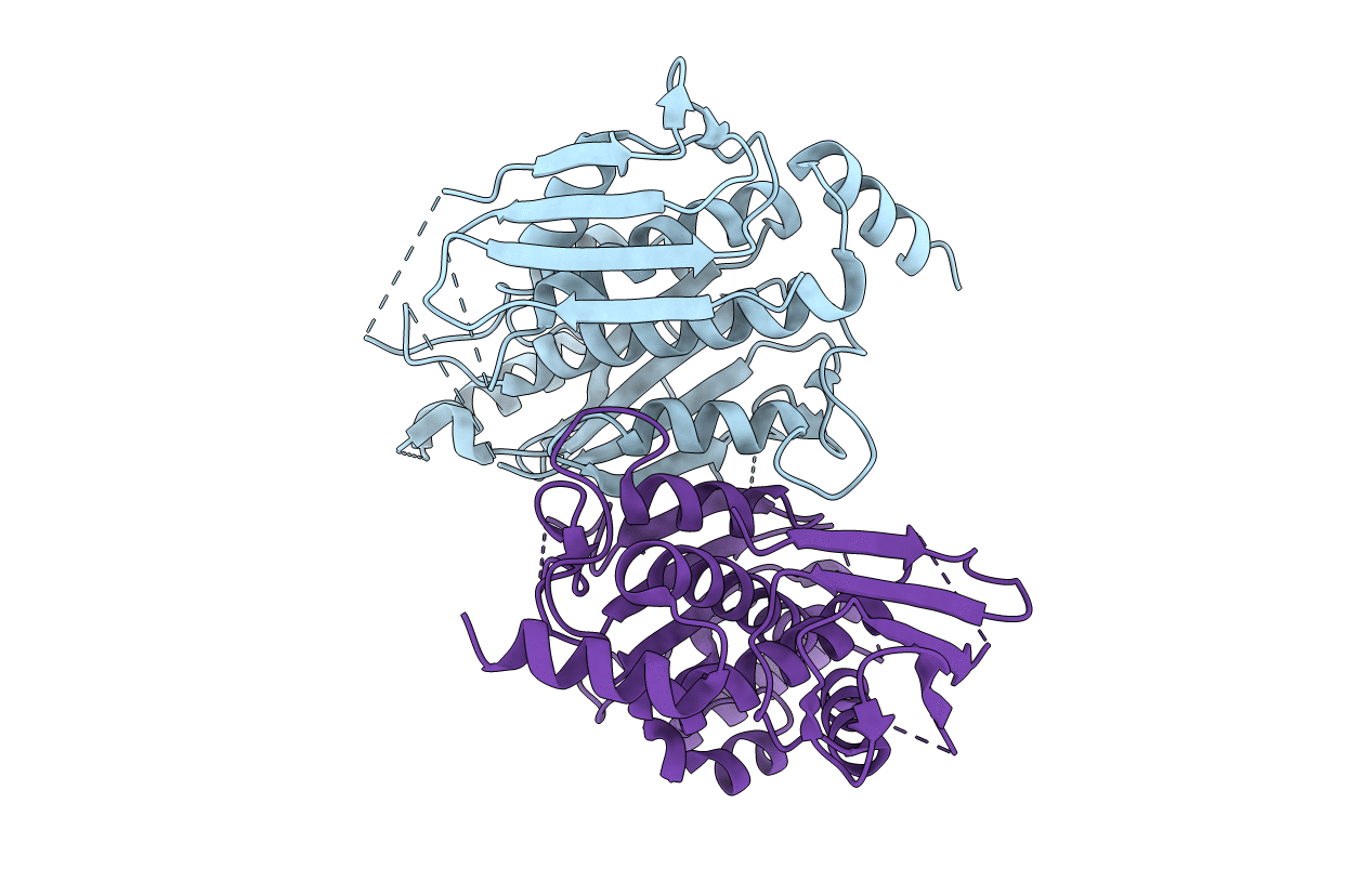 4ECD image