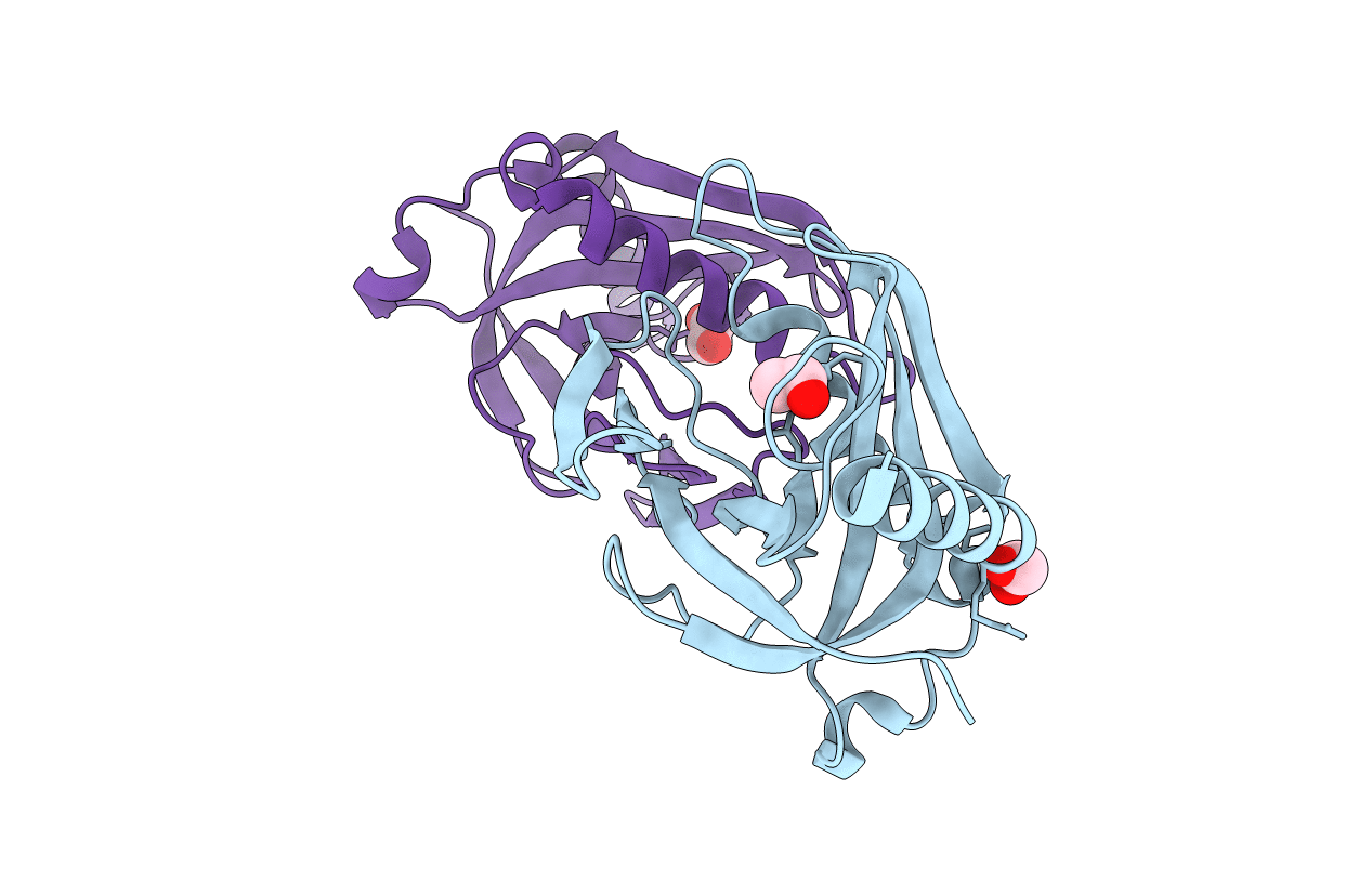4ECP image