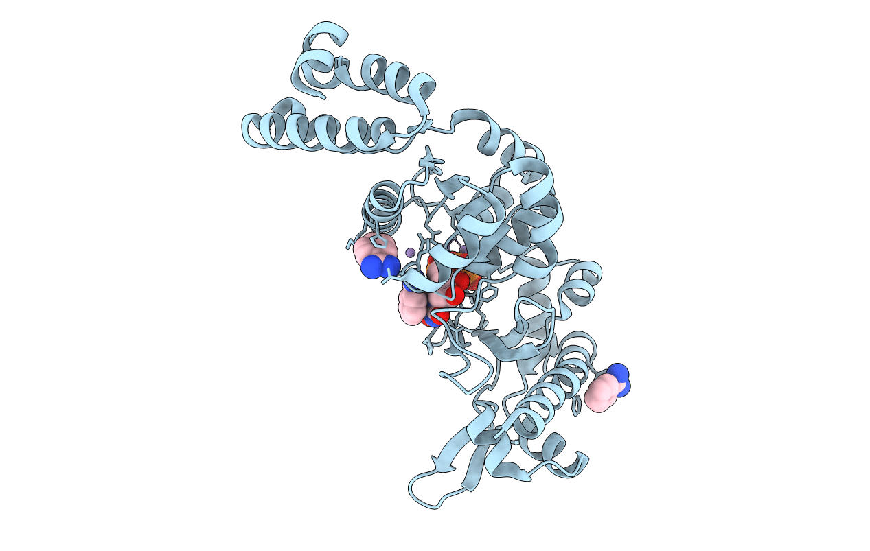 4EDR image