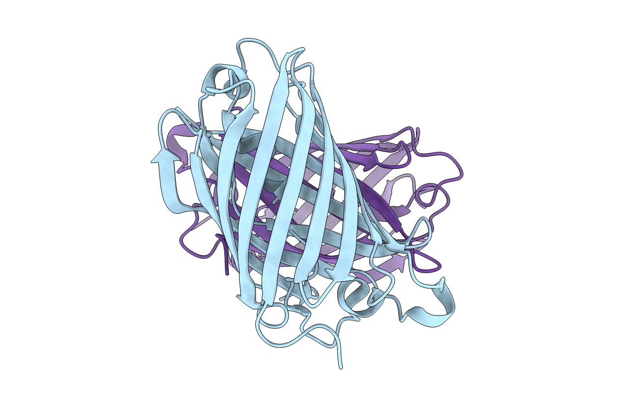 4EDS image