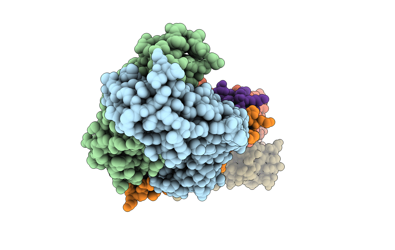 4EDX image