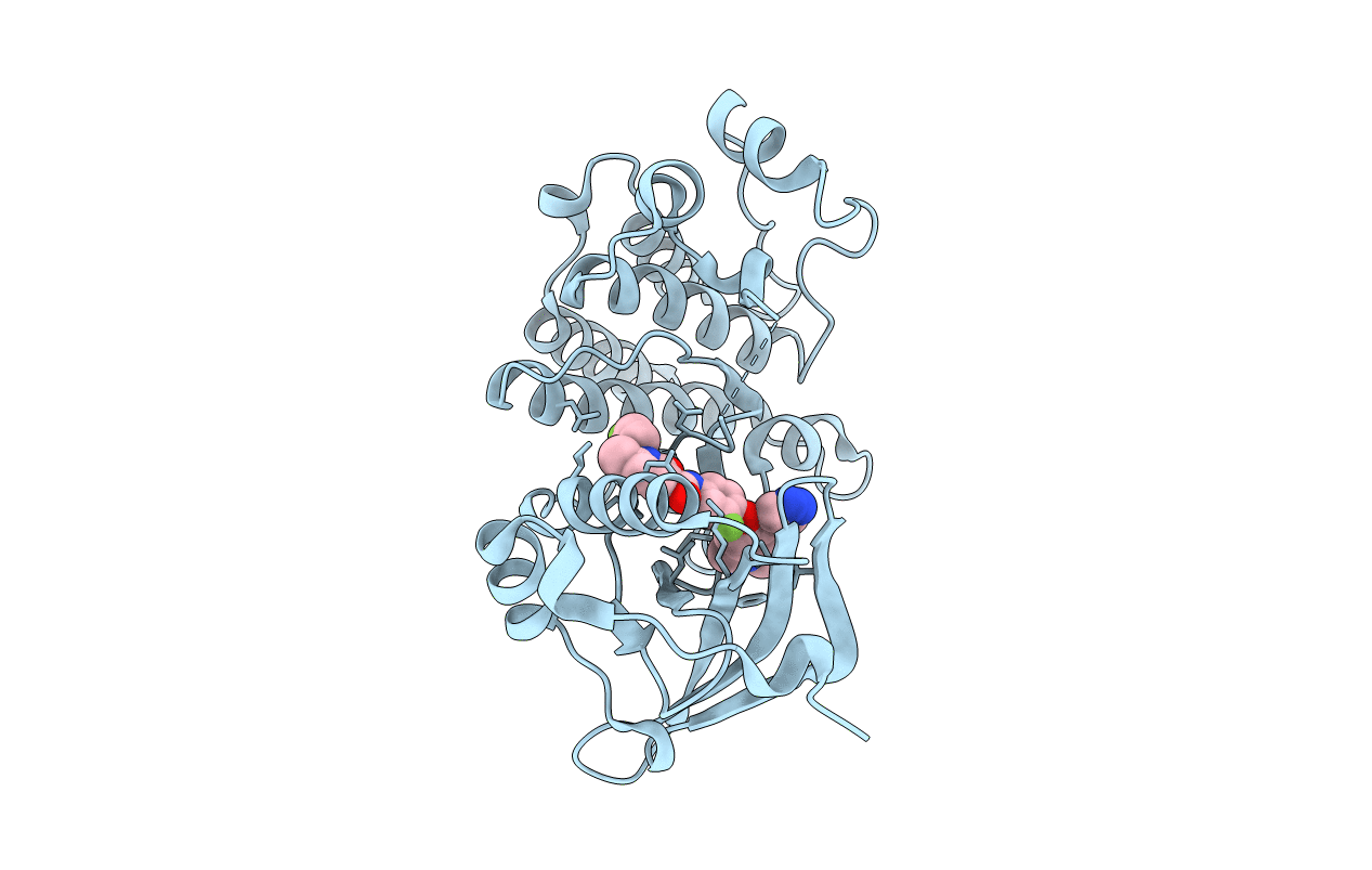 4EEV image