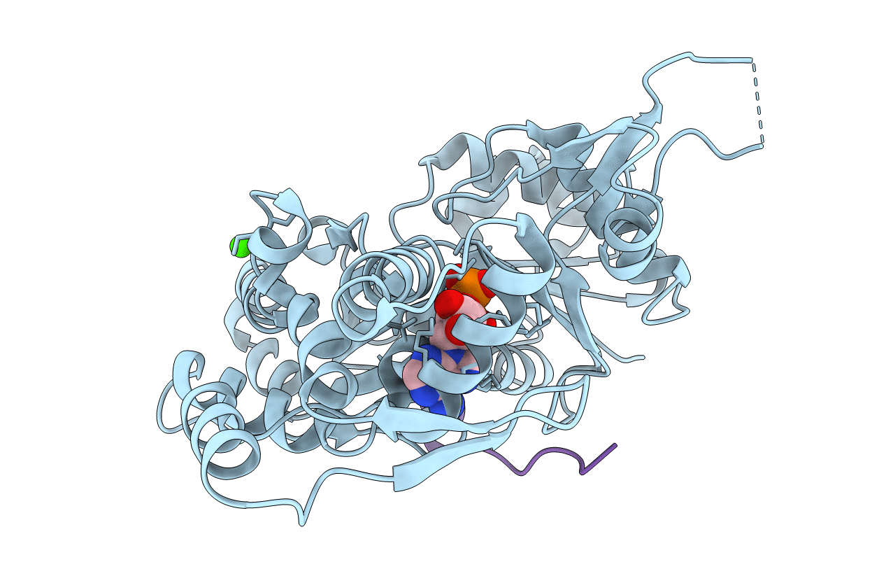 4EFH image