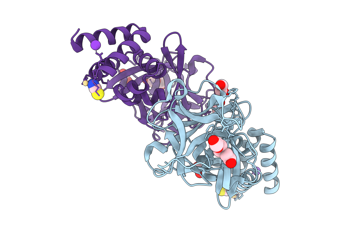 4EFP image