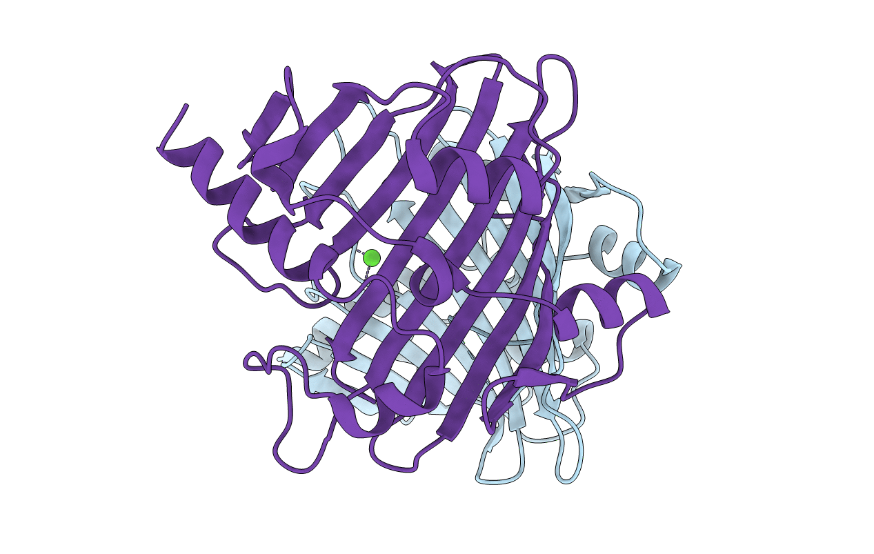 4EGD image