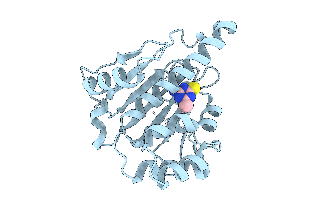 4EGI image