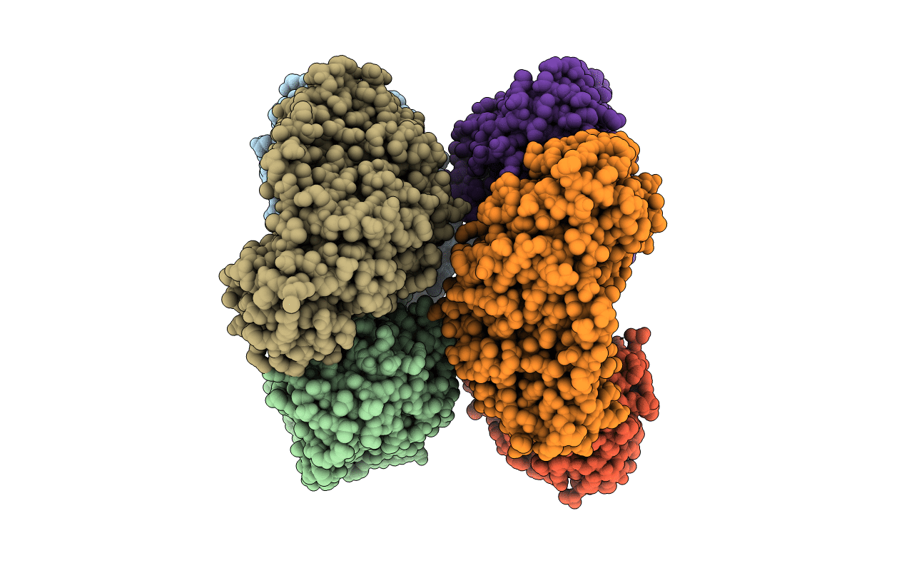 4EGV image