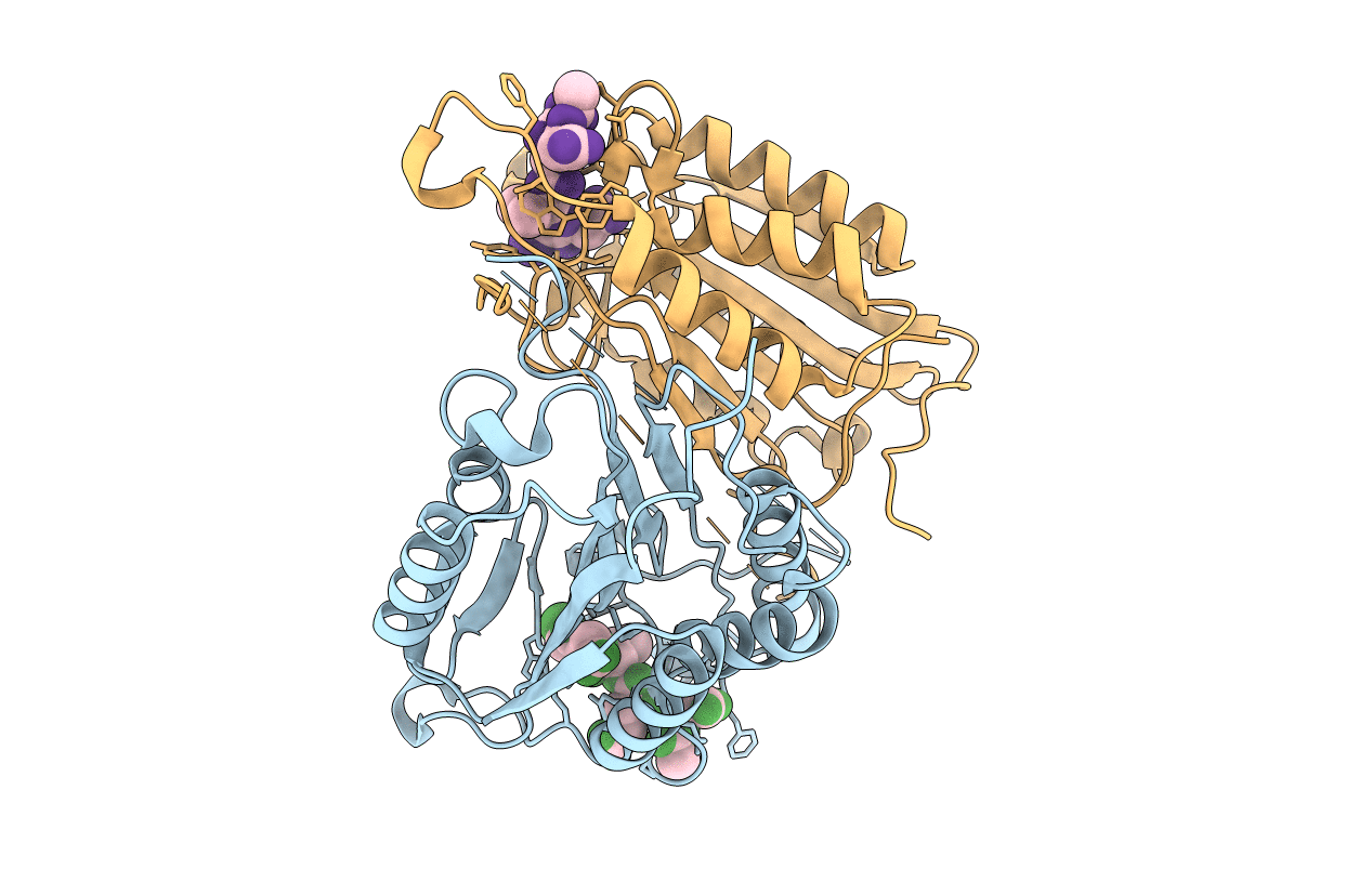 4EHL image