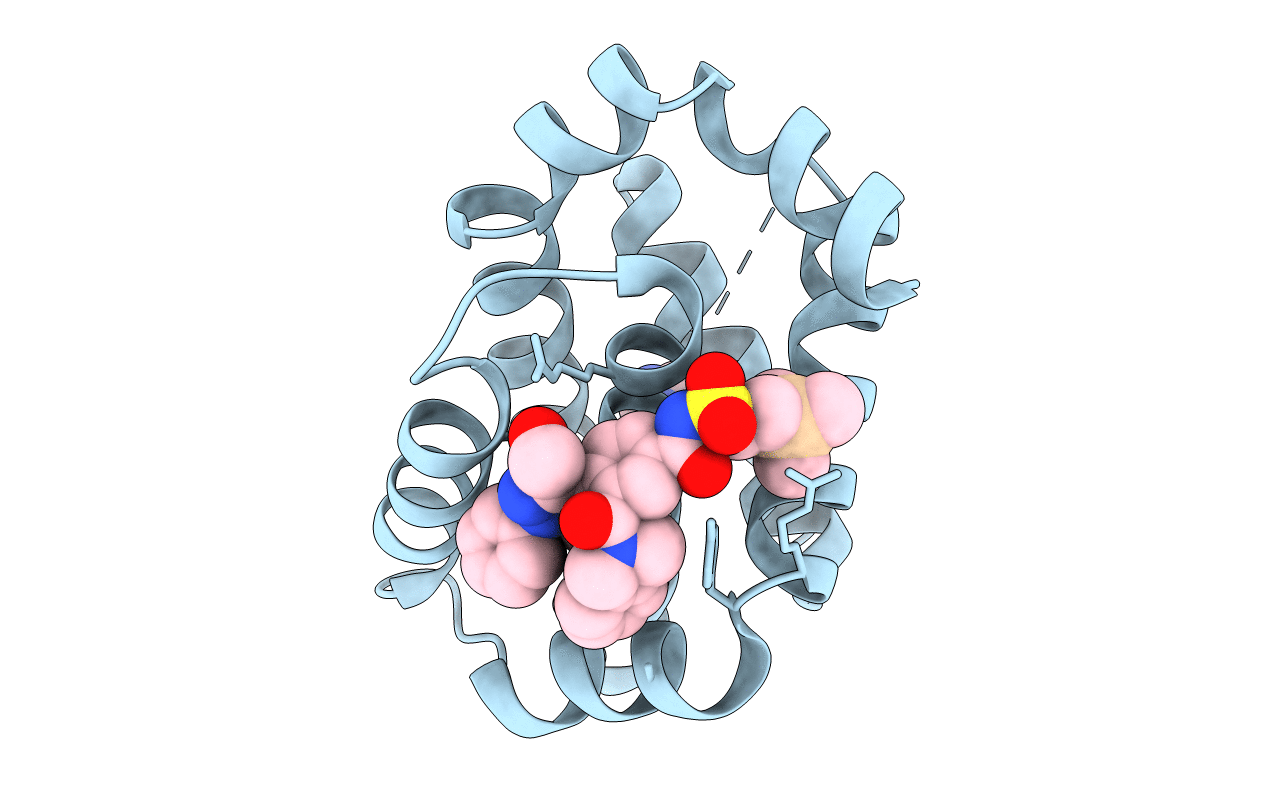 4EHR image