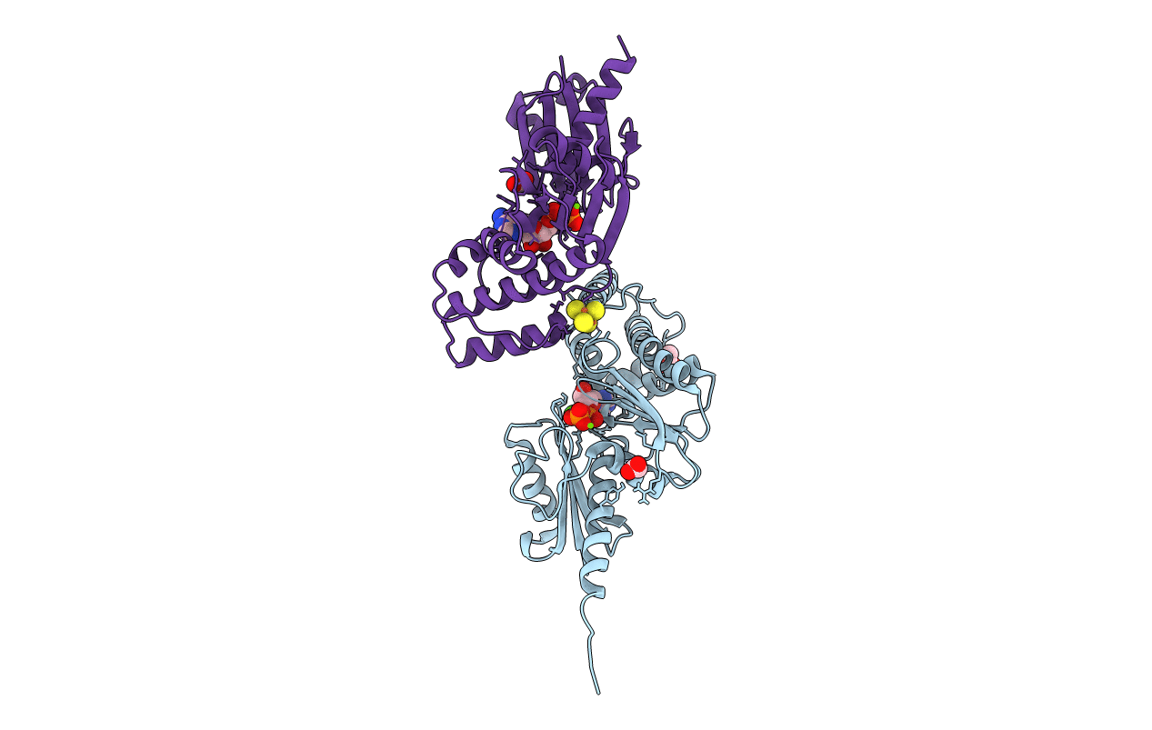 4EHT image