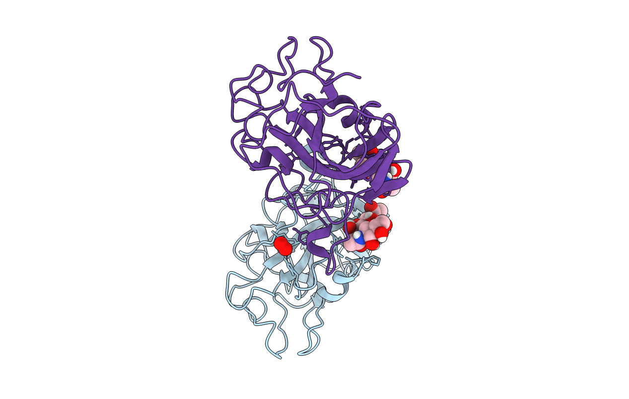 4EIS image