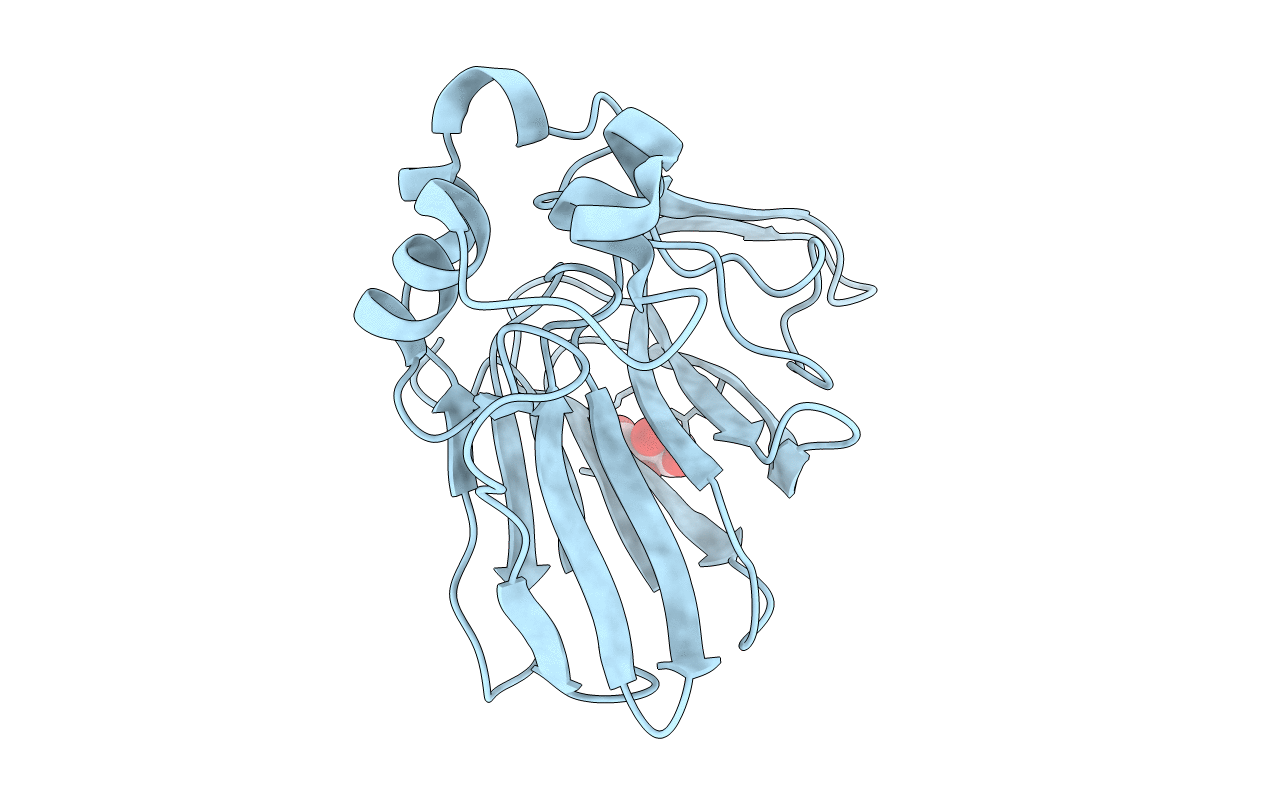 4EKA image