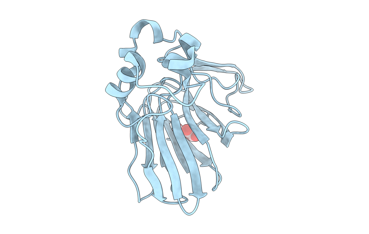 4ELA image