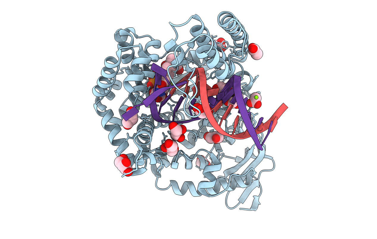 4ELT image