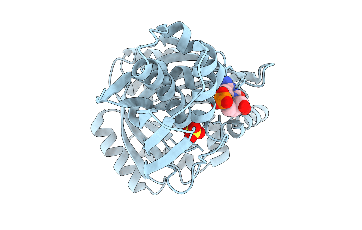 4EMD image