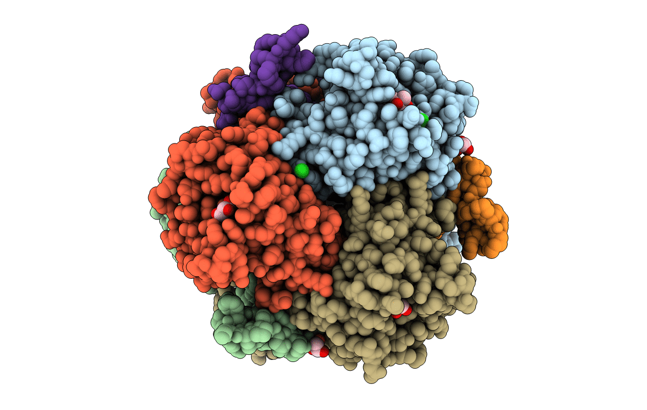 4EML image
