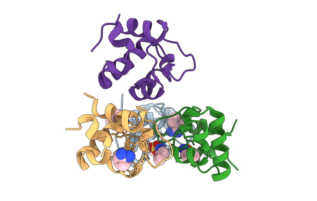 4EMN image