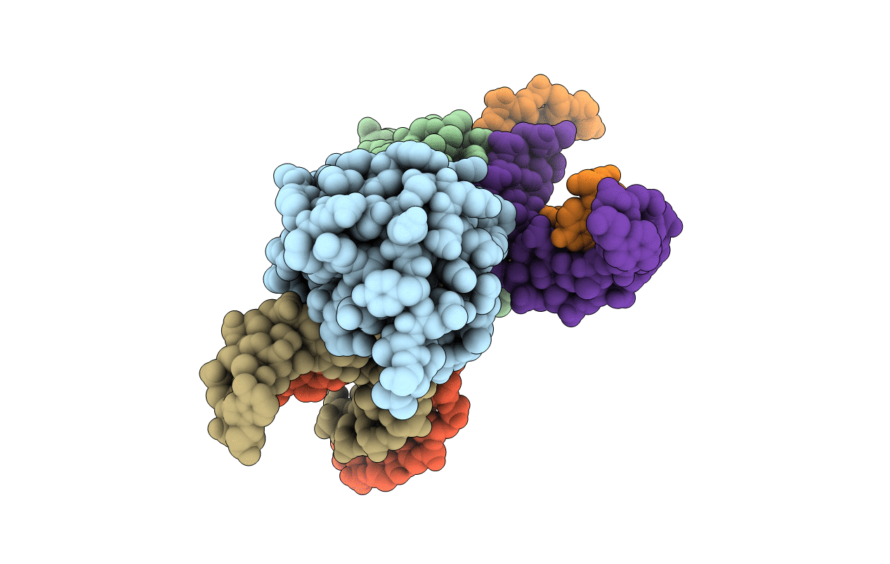 4ENN image
