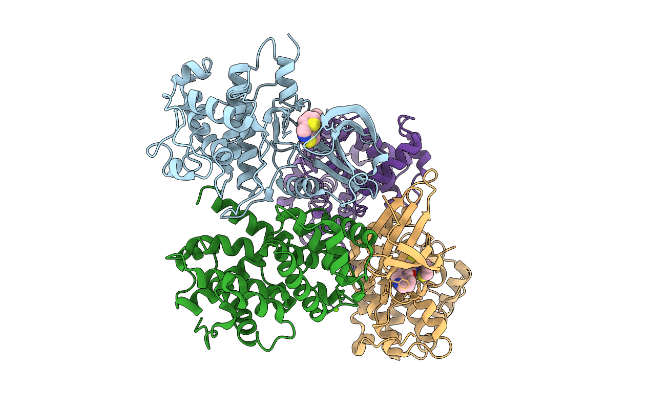4EON image